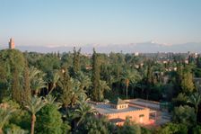 Koutoubia Gardens, Marakesh, Morocco. Creator: Vivienne Sharp