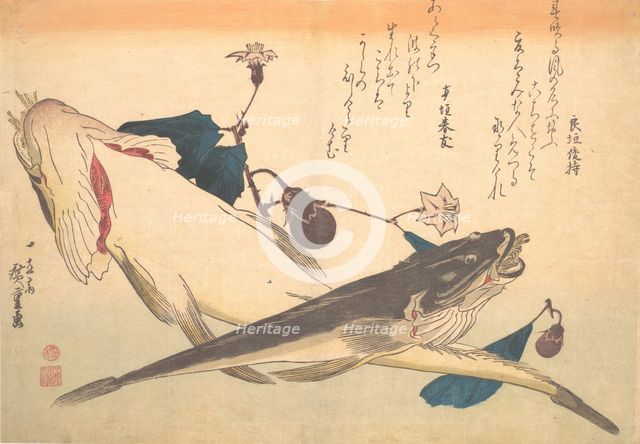 Kochi Fish with Eggplant, from the series Uozukushi (Every Variety of Fish), 1830s., 1830s. Creator: Ando Hiroshige.