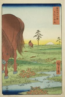 Kogane Plain in Shimosa Province (Shimosa Koganehara), from the series "Thirty-six..., 1858. Creator: Ando Hiroshige