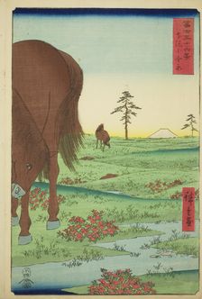 Kogane Plain in Shimosa Province (Shimosa Koganehara), from the series "Thirty-six..., 1858. Creator: Ando Hiroshige