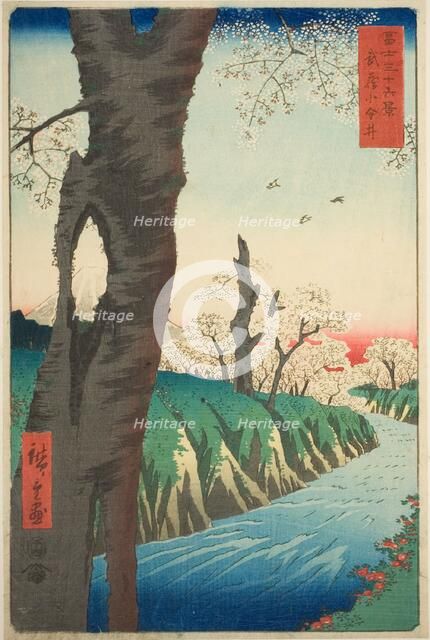 Koganei in Musashi Province (Musashi Koganei), from the series "Thirty-six Views of..., 1858. Creator: Ando Hiroshige.