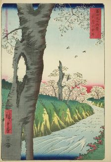 Koganei in Musashi Province (Musashi Koganei), from the series "Thirty-six Views of..., 1858. Creator: Ando Hiroshige