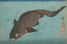 Koi, ca. 1842. Creator: Ikeda Eisen
