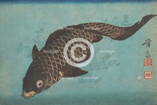 Koi, ca. 1842. Creator: Ikeda Eisen.