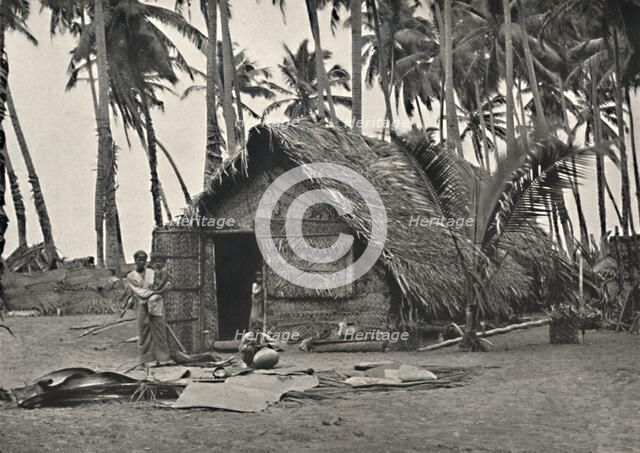 'Kokospalmen und Einngeborenenhutte aus Kokosblattern (An den Stammen links, angebundene Blatter geg Artist: Unknown.