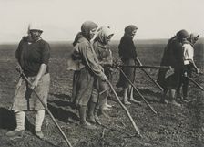Kolkhos women on the field, Early 1930s