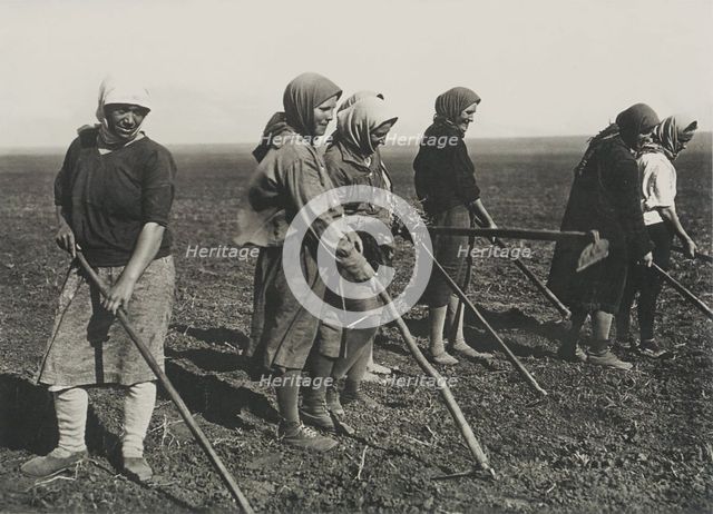 Kolkhos women on the field, Early 1930s.