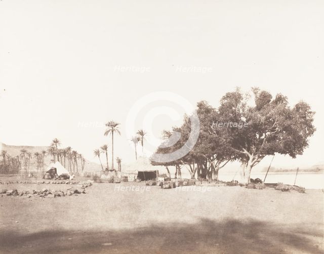 Korósko, Sycomores et Campement d'une Caravane pour le Sennâr, 1851-52, printed 1853-54. Creator: Félix Teynard.