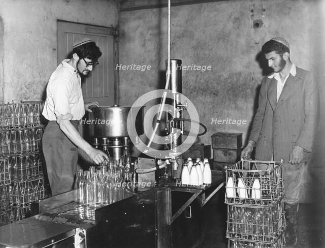 Kosher dairy, (1950?). Creator: EH Emanuel.