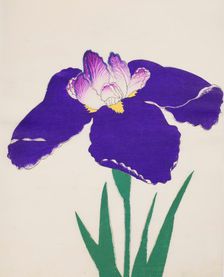 Koshikibu, No. 72, 1890, (colour woodblock print)