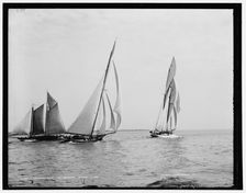 Katrina and Troubadour, 1888 Aug 10. Creator: Unknown