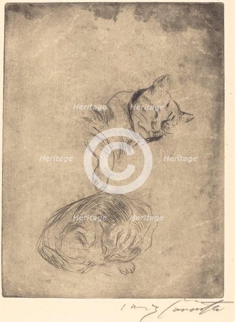 Katzenstudie (Study of Cats), 1920. Creator: Lovis Corinth.