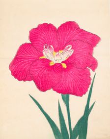Kagari-Bi, No. 38, 1890, (colour woodblock print)