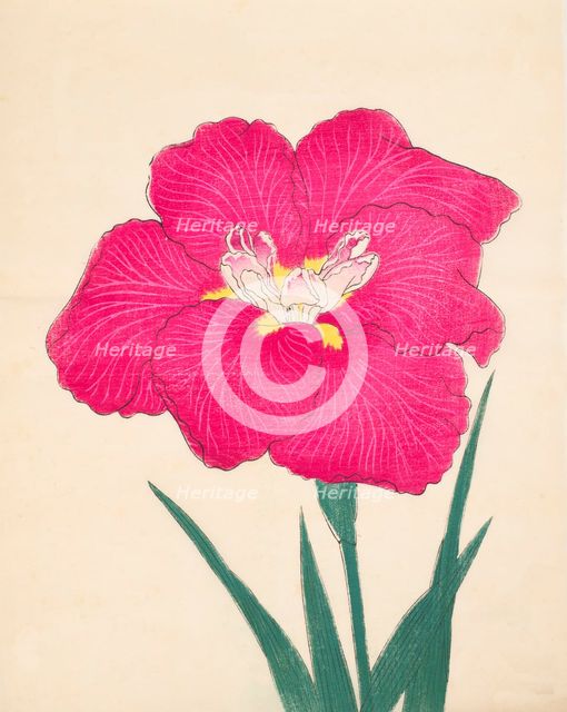 Kagari-Bi, No. 38, 1890, (colour woodblock print)