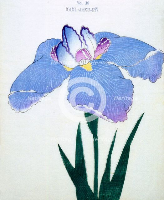 Kaku-Jaku-Ro, No 39.