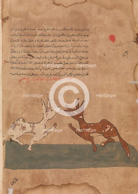 Kalila and Dimna Discussing Dimna's Plans to Become a Confidante of the Lion..., 18th century. Creator: Unknown.