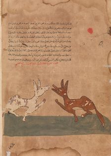 Kalila and Dimna Discussing Dimna's Plans to Become a Confidante of the Lion..., 18th century. Creator: Unknown