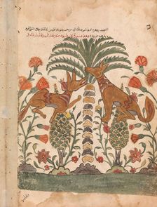Kalila Upbraiding Dimna, Folio from a Kalila wa Dimna, 18th century. Creator: Unknown