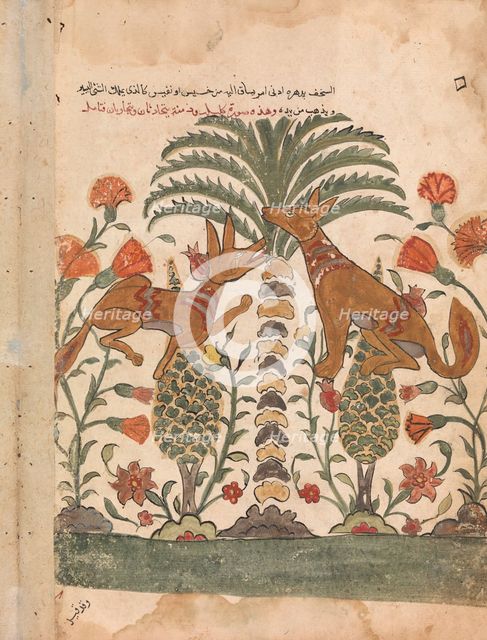 Kalila Upbraiding Dimna, Folio from a Kalila wa Dimna, 18th century. Creator: Unknown.