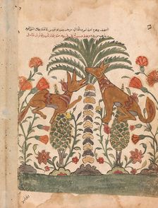 Kalila Upbraiding Dimna, Folio from a Kalila wa Dimna, 18th century. Creator: Unknown