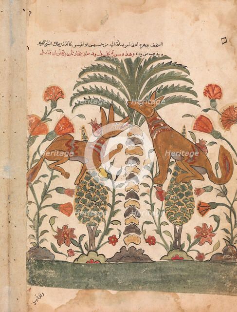 Kalila Upbraiding Dimna, Folio from a Kalila wa Dimna, 18th century. Creator: Unknown.