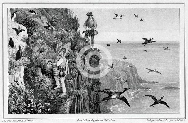 Kamchatka, Hunting Puffins, 19th century. Creators: Friedrich Heinrich Kittlitz, Victor Adam, Godefroy Engelmann, Leon Jean-Baptiste Sabatier.