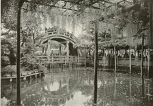 Kameido 1910. Creator: Herbert Ponting