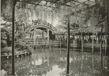 Kameido 1910. Creator: Herbert Ponting