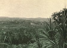 'Kampala; Le Nord-Est Africain 1914. Creator: Unknown