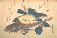 Kanagashira and Karei Fish, from the series Uozukushi (Every Variety of Fish), 1830s., 1830s. Creator: Ando Hiroshige