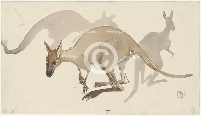 Kangaroos, 1873-1917. Creator: Theo van Hoytema.