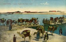 Kantara - Camels passing the Suez Canal c1918-c1939. Creator: Unknown