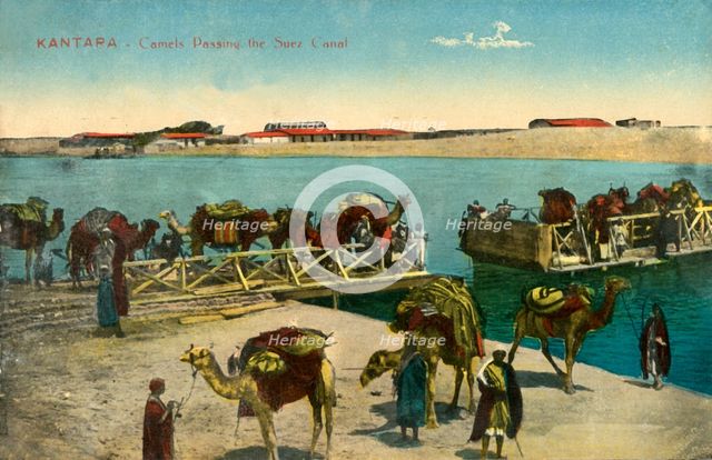 'Kantara - Camels passing the Suez Canal', c1918-c1939. Creator: Unknown.