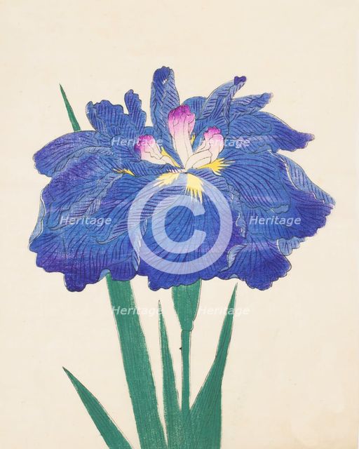 Karako-Asobi, No. 42, 1890, (colour woodblock print)
