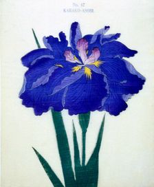 Karako-Asobi, No 42