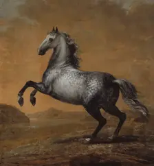 Karl XI's favourite horse The Little Englishman, between c.1680 and c.1689. Creator: David Klocker Ehrenstrahl