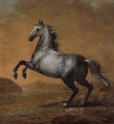 Karl XI's favourite horse The Little Englishman, between c.1680 and c.1689. Creator: David Klocker Ehrenstrahl