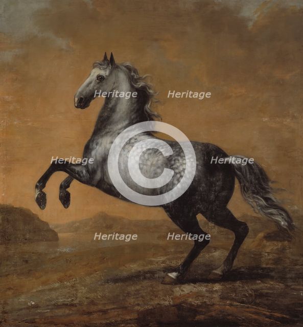 Karl XI's favourite horse The Little Englishman, between c.1680 and c.1689. Creator: David Klocker Ehrenstrahl.
