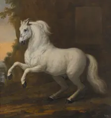 Karl XI's favourite horse In short, 1684. Creator: David Klocker Ehrenstrahl