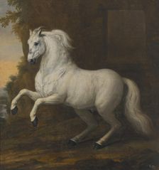 Karl XI's favourite horse In short, 1684. Creator: David Klocker Ehrenstrahl