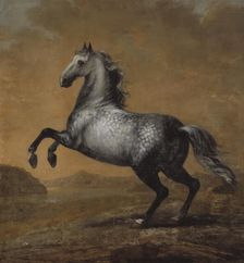 Karl XI's favourite horse The Little Englishman, between c.1680 and c.1689. Creator: David Klocker Ehrenstrahl