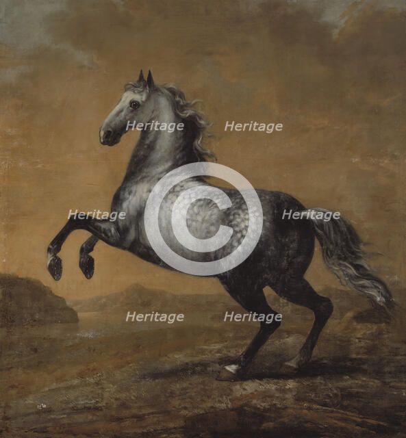 Karl XI's favourite horse The Little Englishman, between c.1680 and c.1689. Creator: David Klocker Ehrenstrahl.