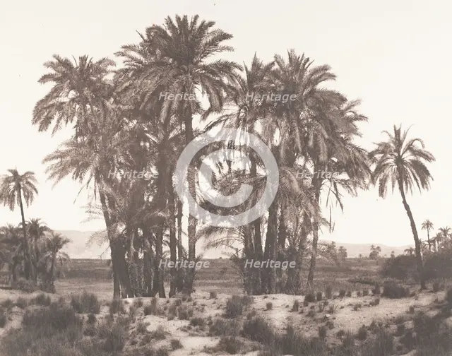 Karnak, Groupe de Dattiers Vu du Point A, 1851-52, printed 1853-54. Creator: Félix Teynard.