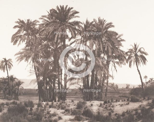 Karnak, Groupe de Dattiers Vu du Point A, 1851-52, printed 1853-54. Creator: Félix Teynard.