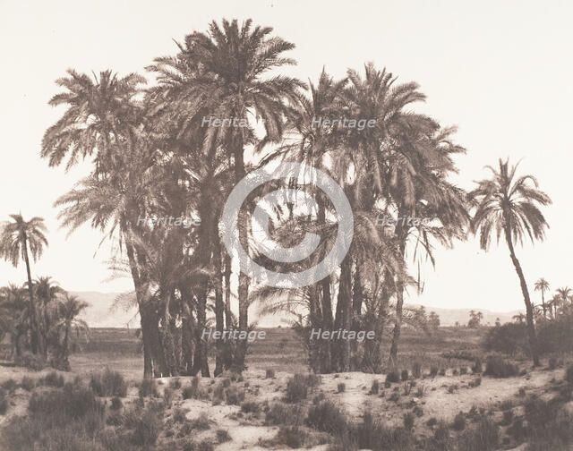 Karnak, Groupe de Dattiers Vu du Point A, 1851-52, printed 1853-54. Creator: Félix Teynard.
