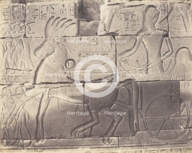 Karnak (Thèbes), Enciente du Palais - Détailes de Sculptures au Point N, 1851-52, printed 1853-54. Creator: Félix Teynard.