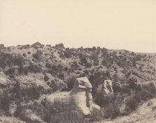 Karnak (Thèbes), Sphinx a Tête Humaine et a Tête de Bélier, en Y, 1851-52, printed 1853-54. Creator: Félix Teynard