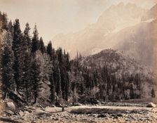 Kashmir: a mountain valley and forest, between 1800 and 1899. Creator: Samuel Bourne