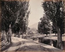 Kashmir: a tree-lined path by a canal, c1870s. Creator: Samuel Bourne
