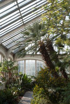 Kew Gardens, 2009. Creator: Ethel Davies